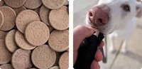Portable Dog Treat Dispensers Image 3