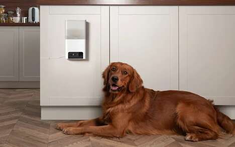 Affordable Dog Treat Dispensers