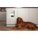Affordable Dog Treat Dispensers Image 1