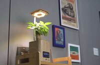 Six-in-One Smart Planters Image 2