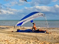 Convertible Travel-Friendly Sunshades Image 1