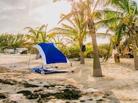 Convertible Travel-Friendly Sunshades Image 2
