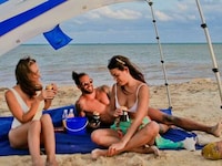 Convertible Travel-Friendly Sunshades Image 8