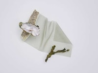 Seashell-Based Clay Ceramics Image 1