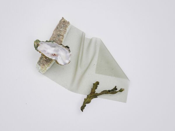 Seashell-Based Clay Ceramics