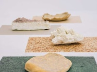 Seashell-Based Clay Ceramics Image 2