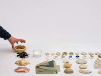 Seashell-Based Clay Ceramics Image 4