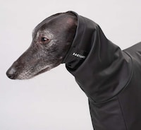 Made-to-Measure Pet Clothing