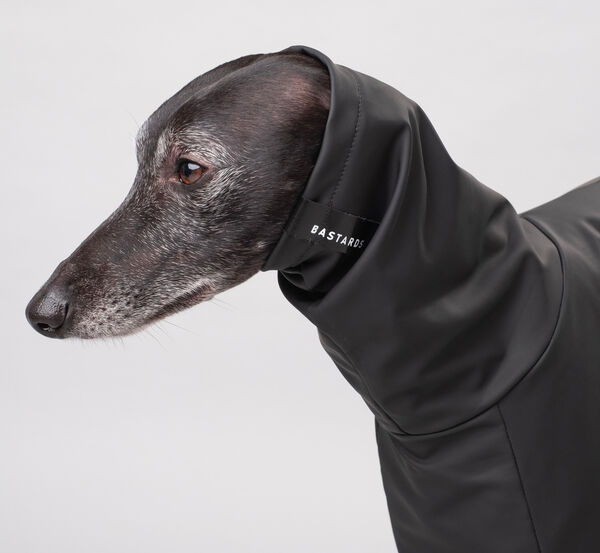 Made-to-Measure Pet Clothing