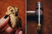 Hand-Crafted Reptile Tape Measures