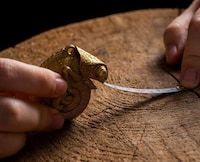 Hand-Crafted Reptile Tape Measures Image 5