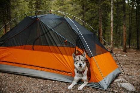 Canine-Friendly Camping Gear