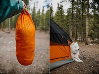 Canine-Friendly Camping Gear Image 6