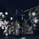 Uniquely Atmospheric Perfume Oils Image 2