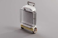 Luxurious Space-Friendly Luggage Image 4