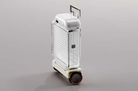 Luxurious Space-Friendly Luggage Image 5