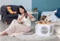 Design-Conscious Cat Stools Image 3