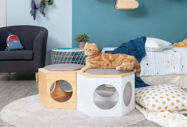 Myzoo studio cat sales bed