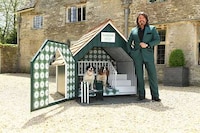 Supportive Health-Focused Doghouses