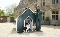 Supportive Health-Focused Doghouses Image 2