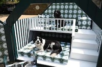 Supportive Health-Focused Doghouses Image 4
