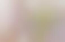 Simplified Skincare Systems