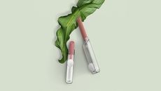 Biodegradable Lipstick Packaging Article Thubnail