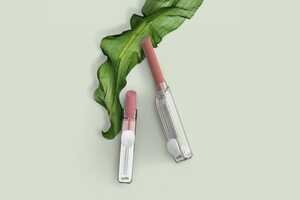 Biodegradable Lipstick Packaging Article Thubnail