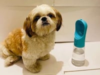 Portable Pet Hydration Bottles Image 1