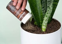 Holistic Plant Nutrition Systems Image 4