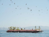 Sculptural Floating Gardens