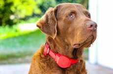 Leash-Equipped Dog Collars