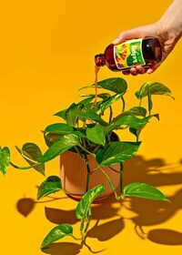 Growth-Boosting Natural Plant Foods Image 3