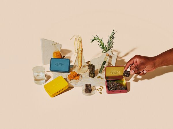 10 Mushroom-Powered Wellness Products