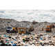 AI-Powered Recycling Technologies Image 2
