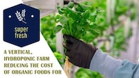 Vertical Hydroponic Growing Systems Image 1