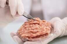 Lab-Grown Meat Products