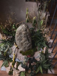 Botanical Art Restaurants Image 2