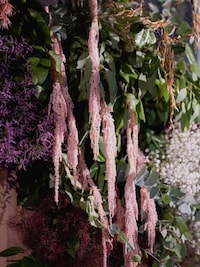 Botanical Art Restaurants Image 5