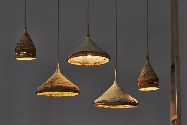 Growing Fungi Pendant Lamps