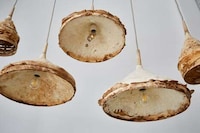 Growing Fungi Pendant Lamps Image 2