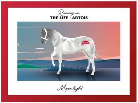 Horse Racing-Inspired NFT Collections
