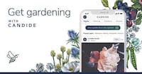 Plant ID Apps Image 1