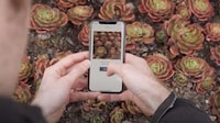Plant ID Apps Image 2