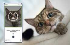 Face-Reading Feline Apps