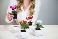 Modular Self-Watering Planters Image 2