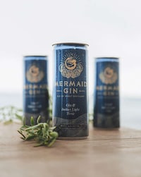 Canned Gin Cocktails Image 1