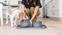 Ocean Plastic Dog Bowls Image 2