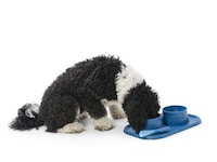Ocean Plastic Dog Bowls Image 3