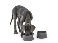 Ocean Plastic Dog Bowls Image 5